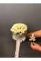 Beyaz Gül Gelin Çiçeği Beyaz Gül Gelin Çiçeği