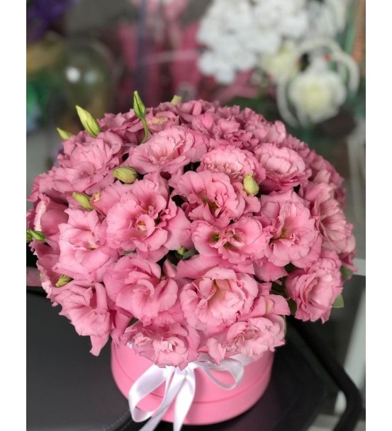 Kutuda Pembe  Çiçekler